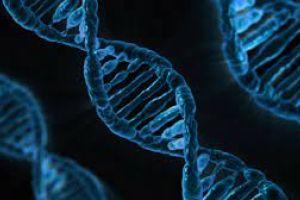DNA opslag aanvraag formulier